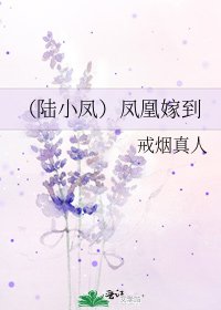 （陆小凤）凤凰嫁到